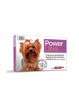 Power