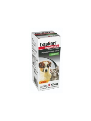 Basken