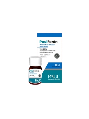 Paulferón