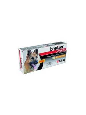 Basken