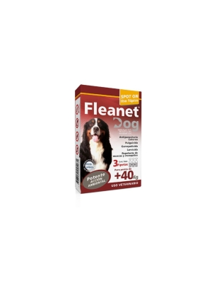 Fleanet