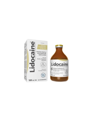 Lidocaine