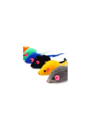 Ratoncito