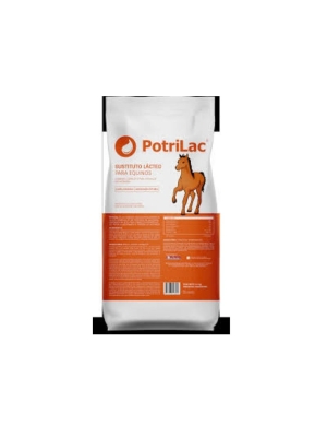 Potrilac