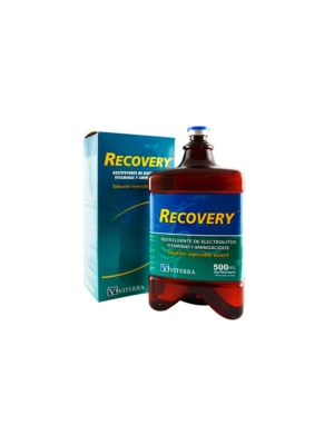 Recovery