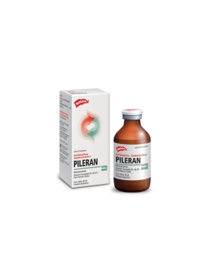Pileran