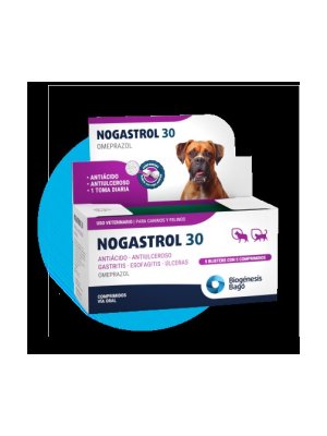 Nogastrol