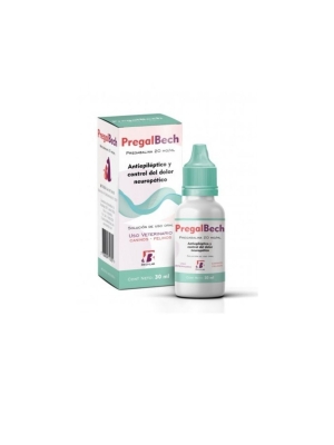 Pregalbech